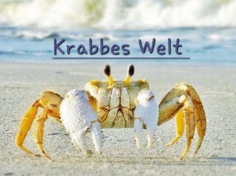 Krabbe testet & Beauty 